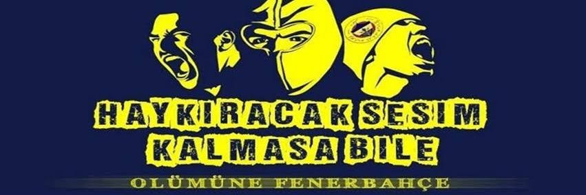 tmlmuhammed's profile banner image