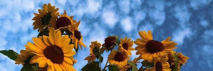 JLH_23's profile banner image