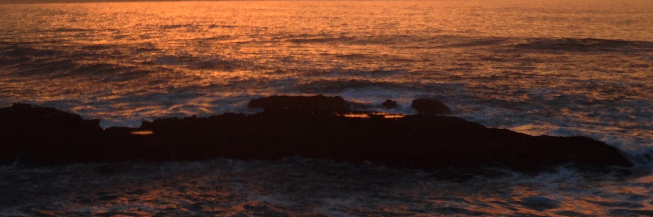 LisbonSurf's profile banner image
