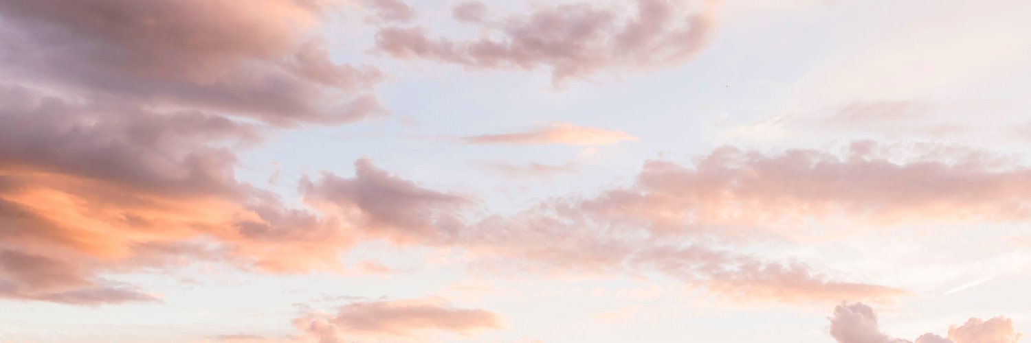 stanzasingola_'s profile banner image