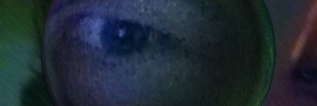 Frank van der Putten banner