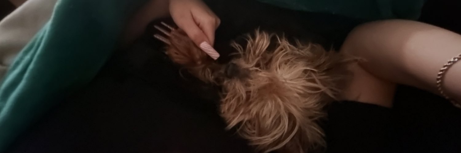 lolziclarlli's profile banner image