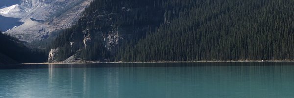 ACD_Davis11 Profile Banner