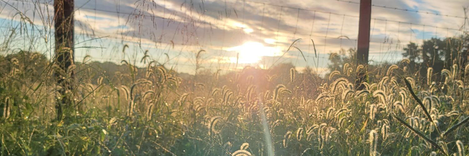 jlump_'s profile banner image