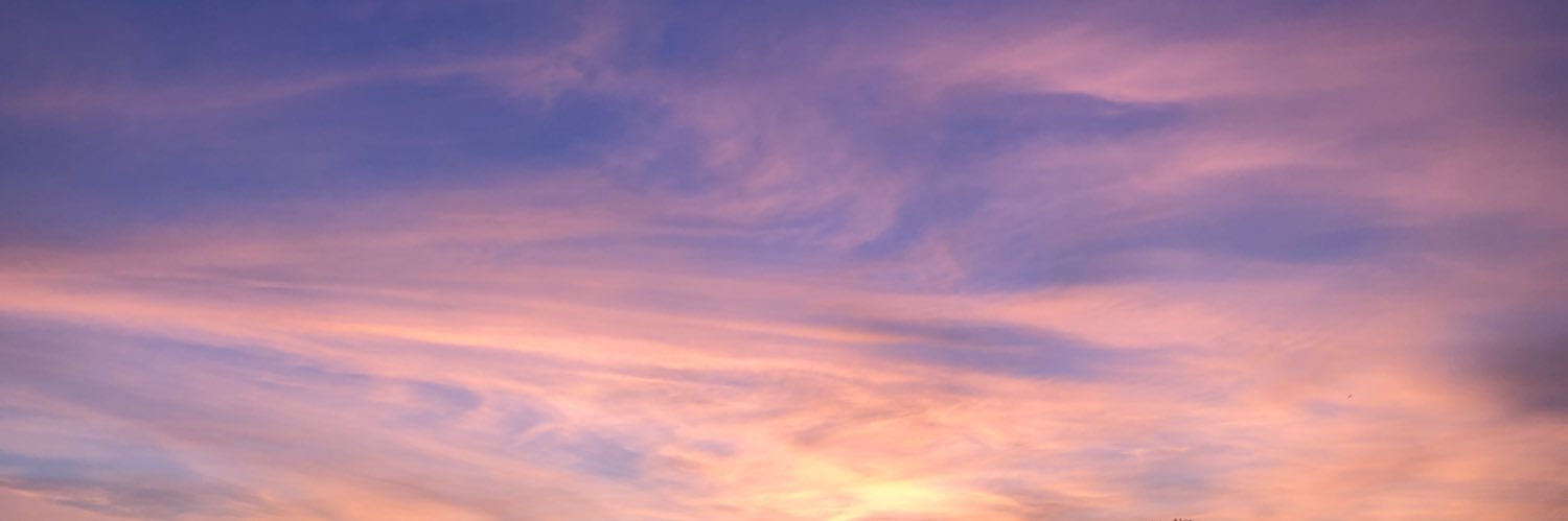 bbi banner