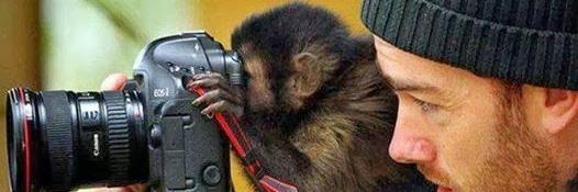 Soy HumAnimal banner