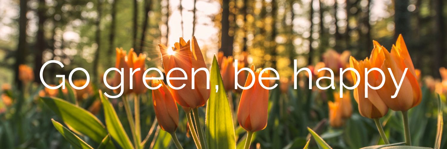 Pascal Gemperli banner