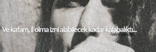selisycl's profile banner image