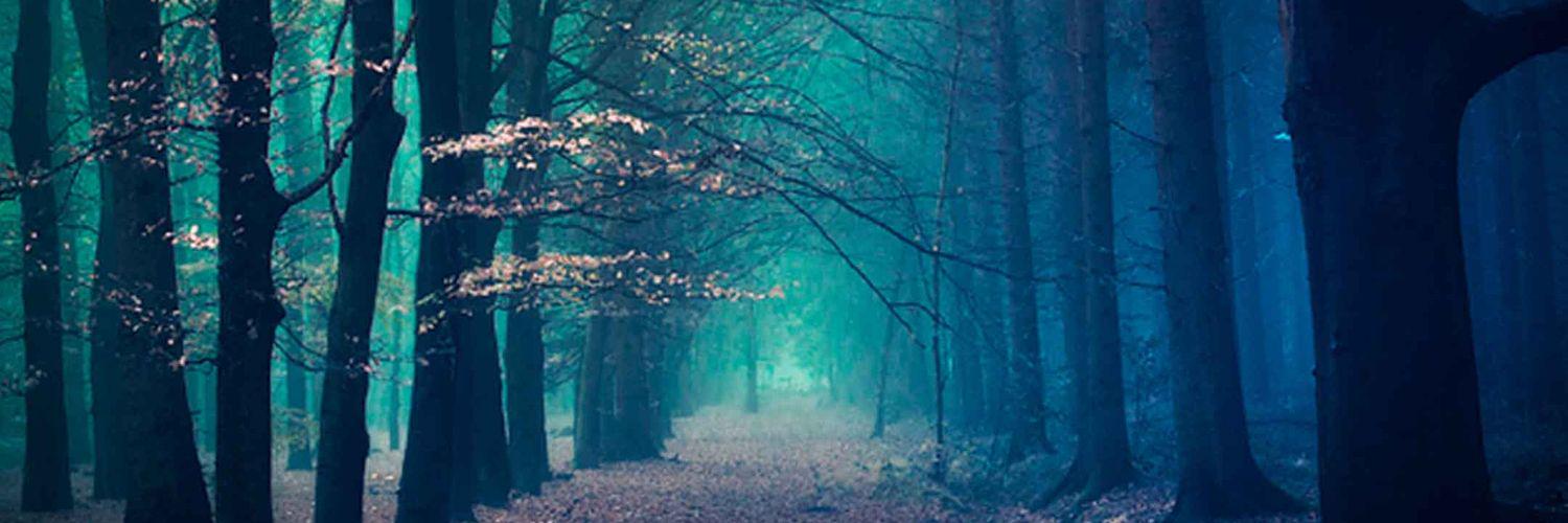 chrstina's profile banner image