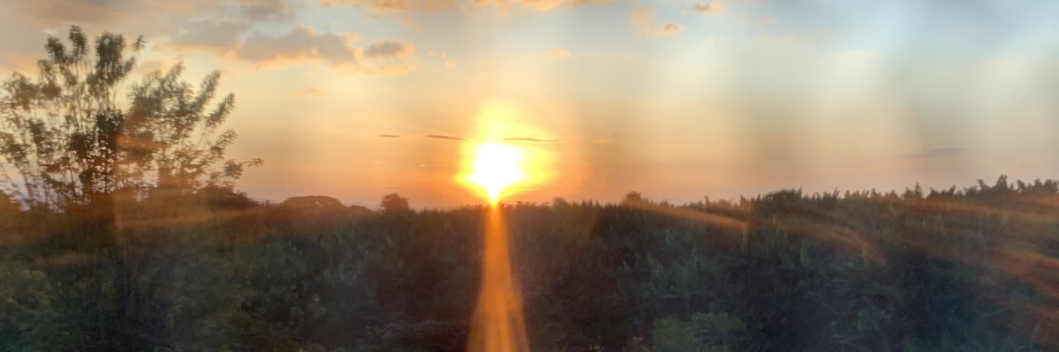 sechev86's profile banner image