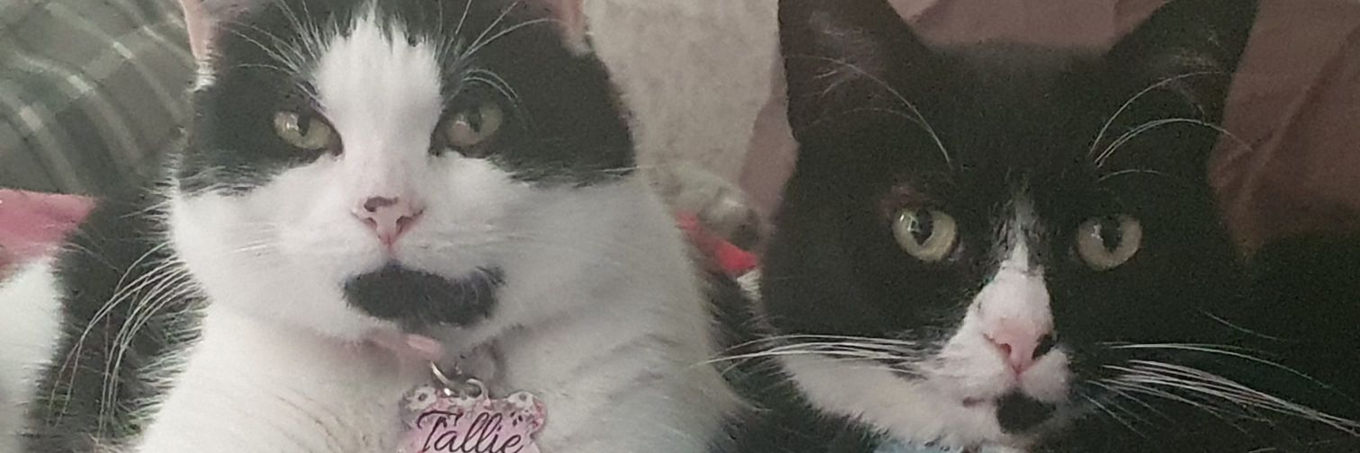missyme85's profile banner image