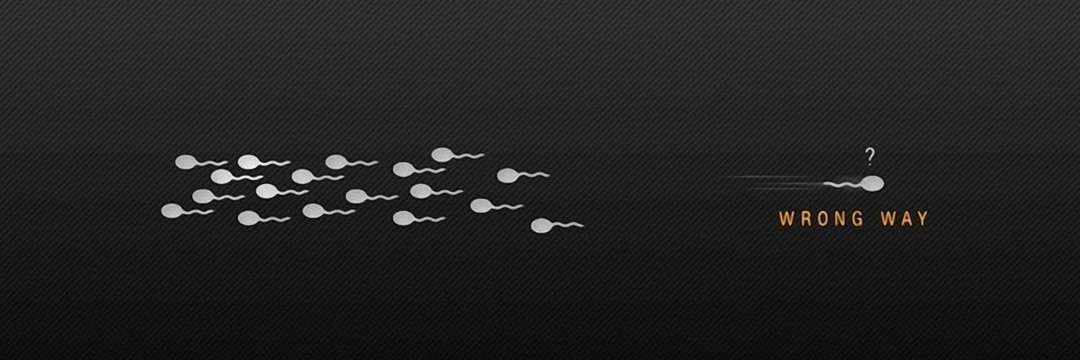 _c_macedo's profile banner image