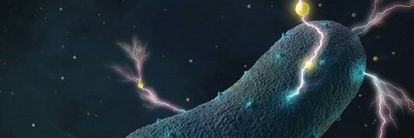 WestminsteriGEM Profile Banner