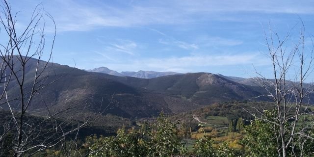 Elenasanse's profile banner image