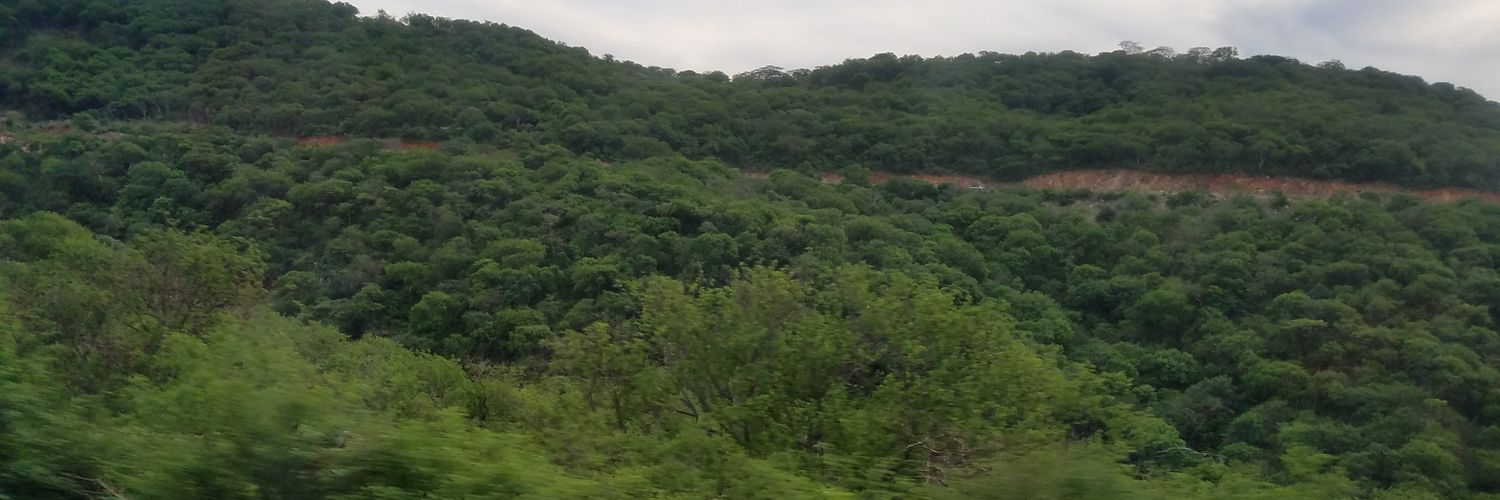 OrgMtanzania's profile banner image