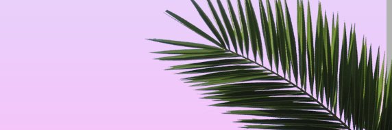 JedOakley's profile banner image