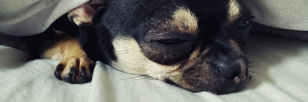 LMLJ13's profile banner image