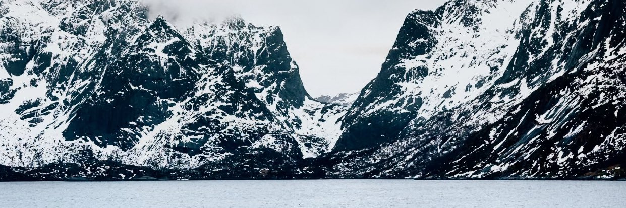 Alexis (Parody) banner