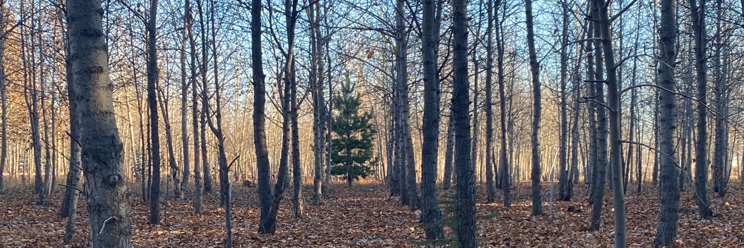 robinjoyhilton's profile banner image