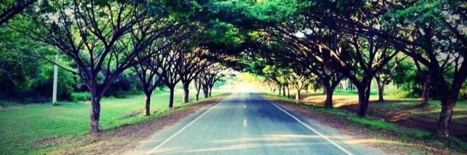 klim_tanapat's profile banner image