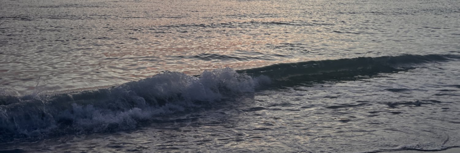 Emlizziee's profile banner image