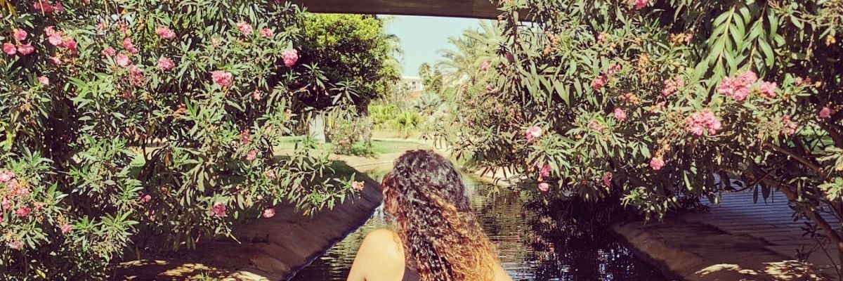 MMartinezMaria's profile banner image