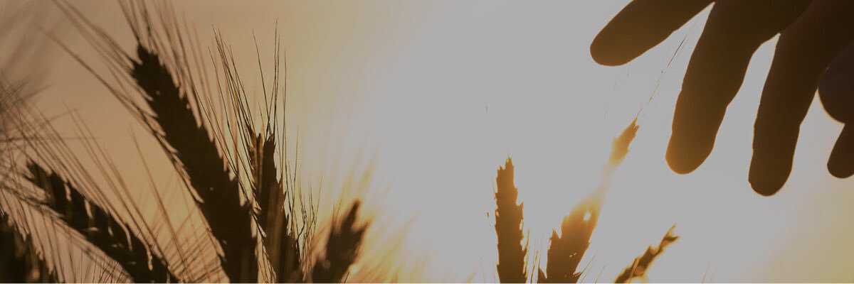 VernRandall's profile banner image