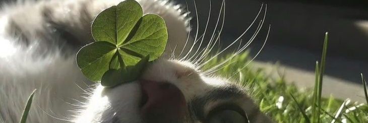 heybennese's profile banner image