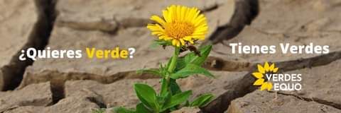 Equo_Cadiz's profile banner image