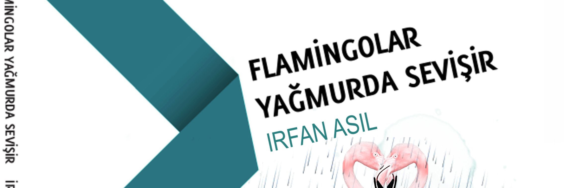 dr.asil banner