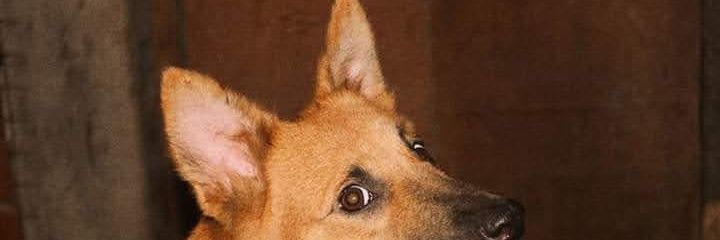 _concepcionja's profile banner image