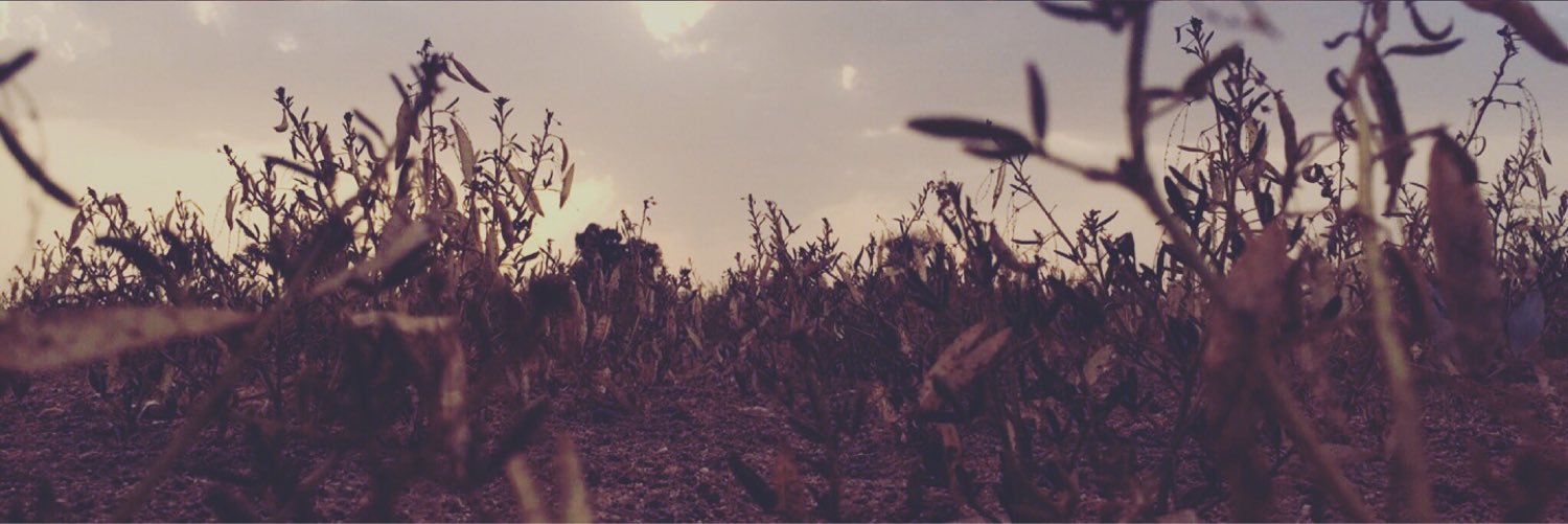 SirSaad1's profile banner image