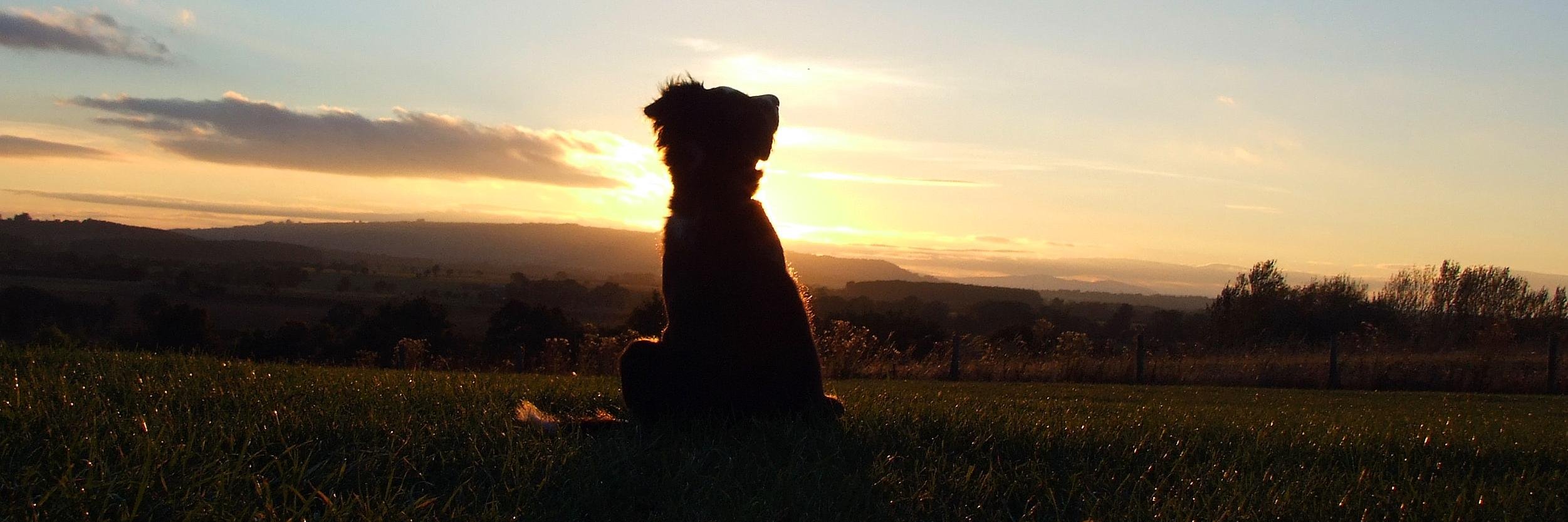 jeanmalley's profile banner image