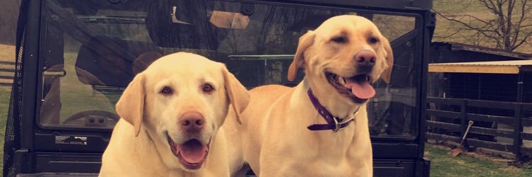 mayermorgan's profile banner image