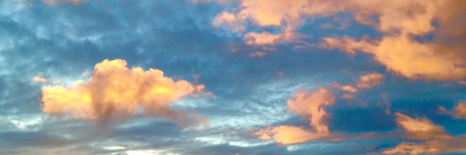 apandolfini's profile banner image