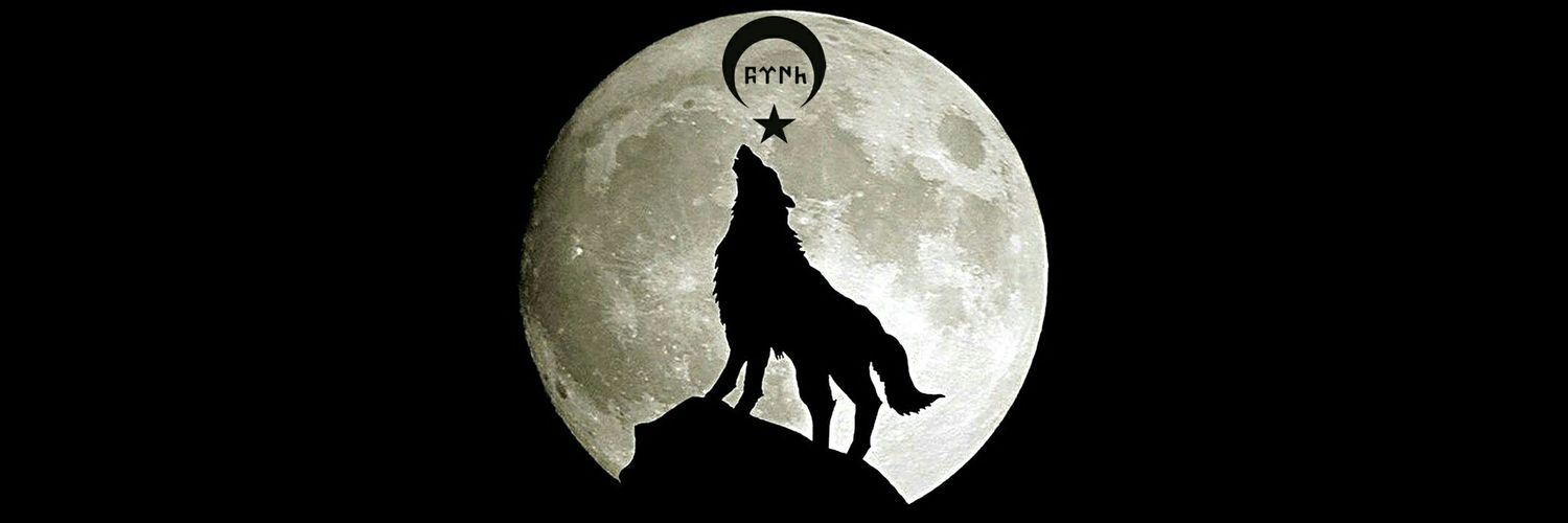 Emrrreee4545's profile banner image