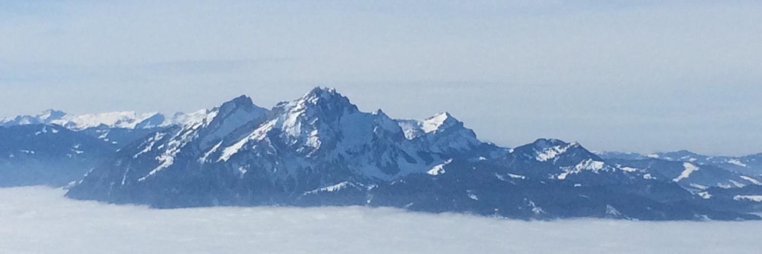 annaritzer's profile banner image
