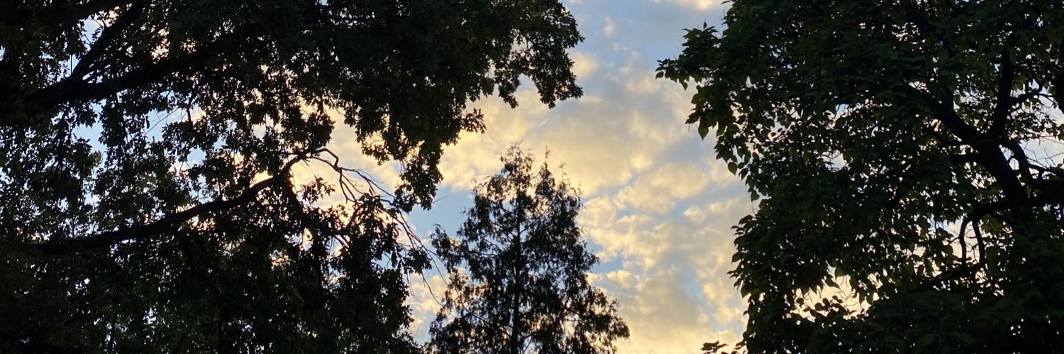 maryd1th's profile banner image