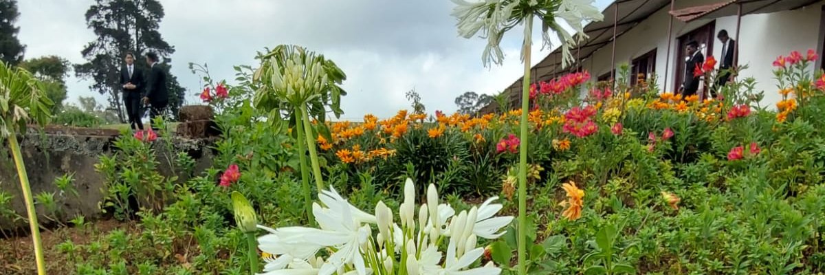 DuttaRam's profile banner image