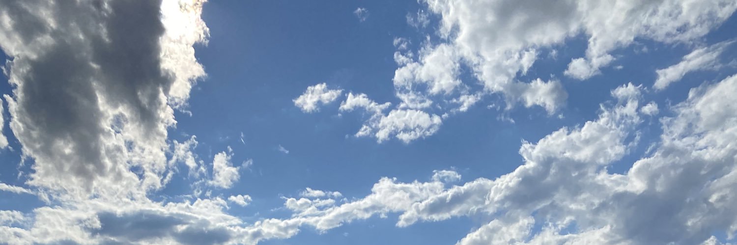 MsBlevin's profile banner image