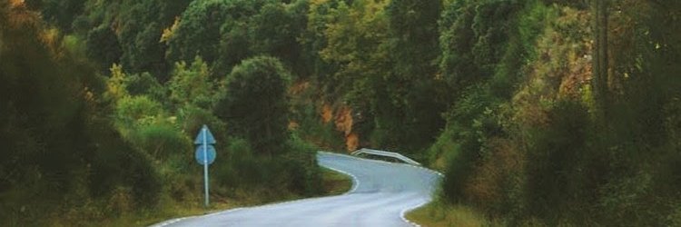 unprofeconclase's profile banner image