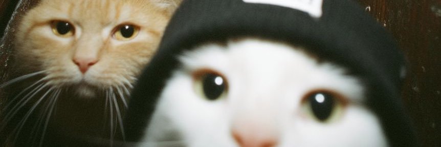 mateusdallacos's profile banner image