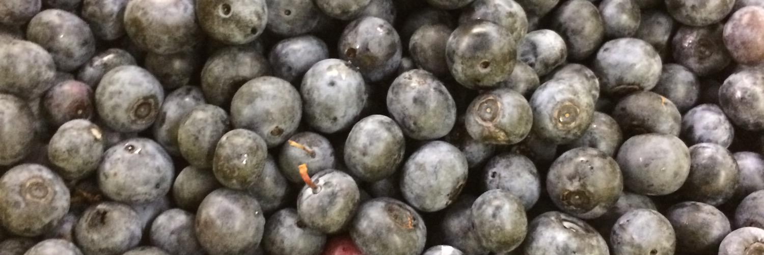 berryfieldprobs's profile banner image