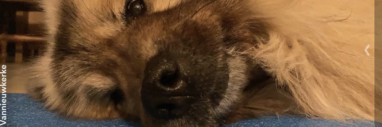VnkChloe's profile banner image