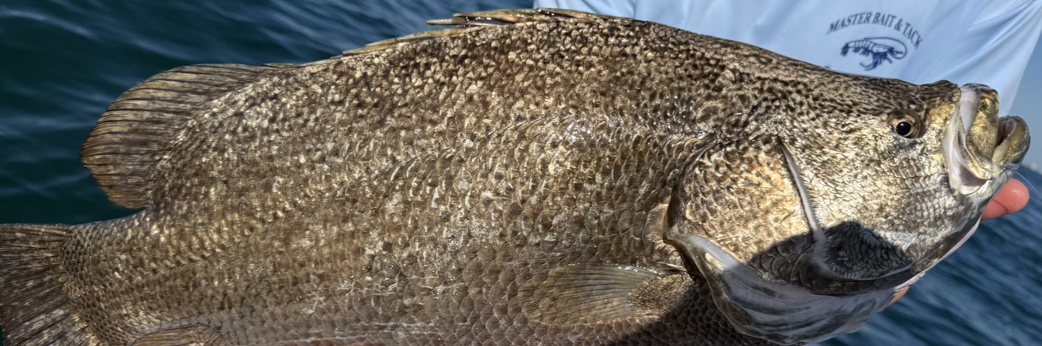 RopeADopeShope banner