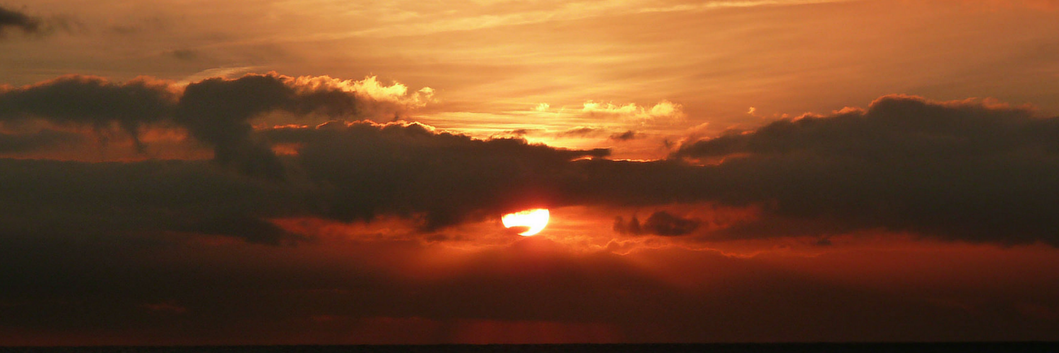 martindiaranda's profile banner image