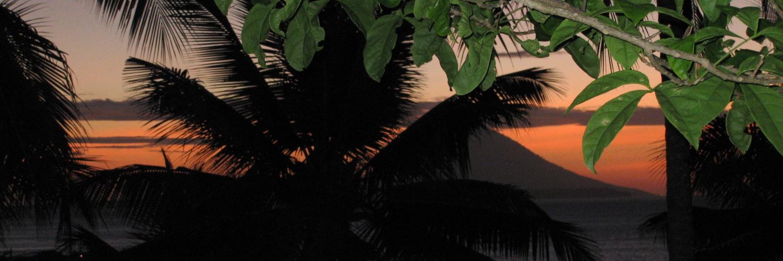 DickyDezo's profile banner image