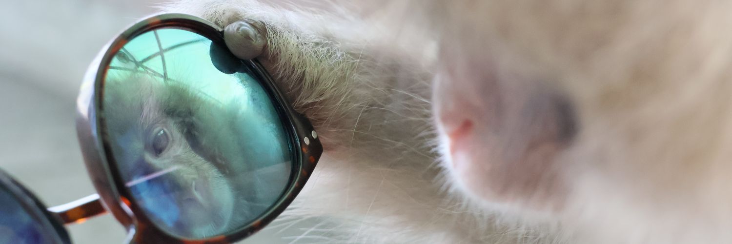 a_misaco's profile banner image