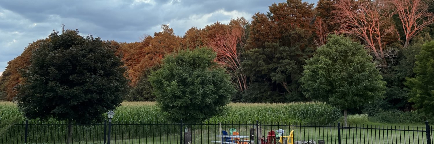 CAllenby's profile banner image