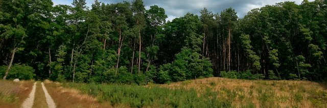 Magdalena Ewa bez bierzmowania z Wrocławia 🇪🇺 banner